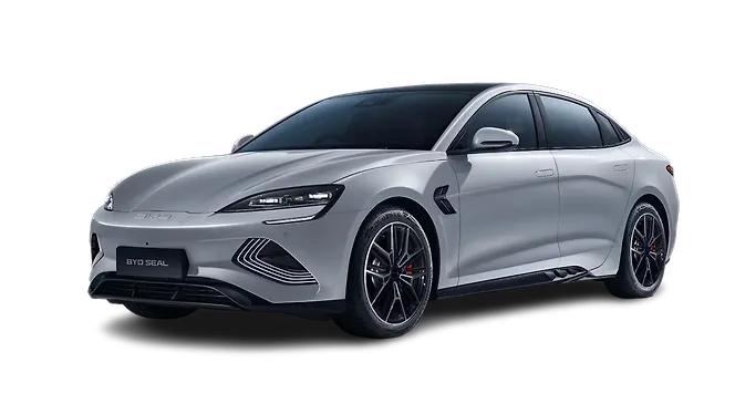 Shark Gray