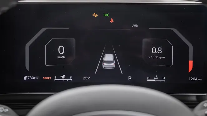 Kia Carnival Instrument Cluster
