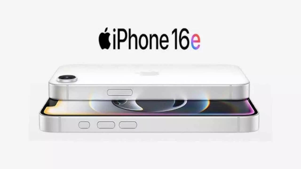 Apple Apple