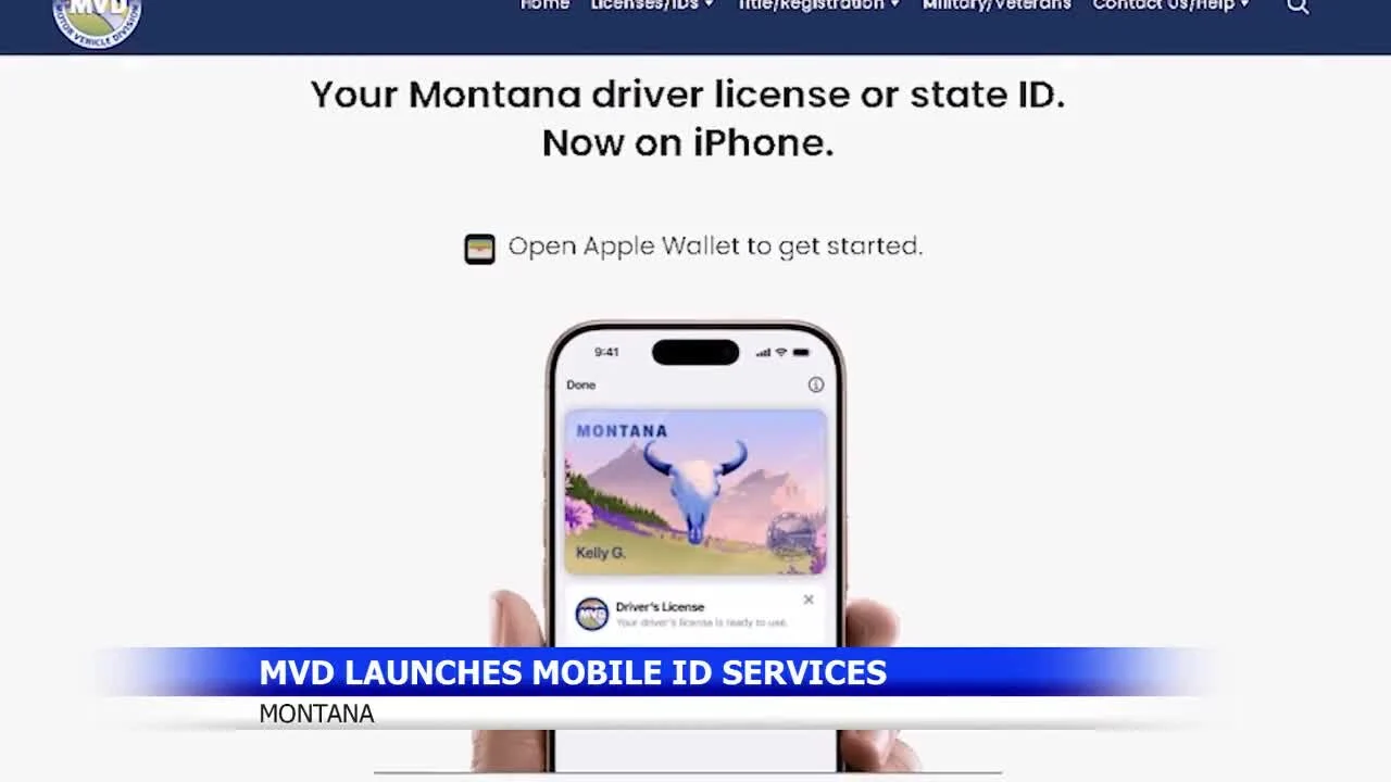 Montana 3