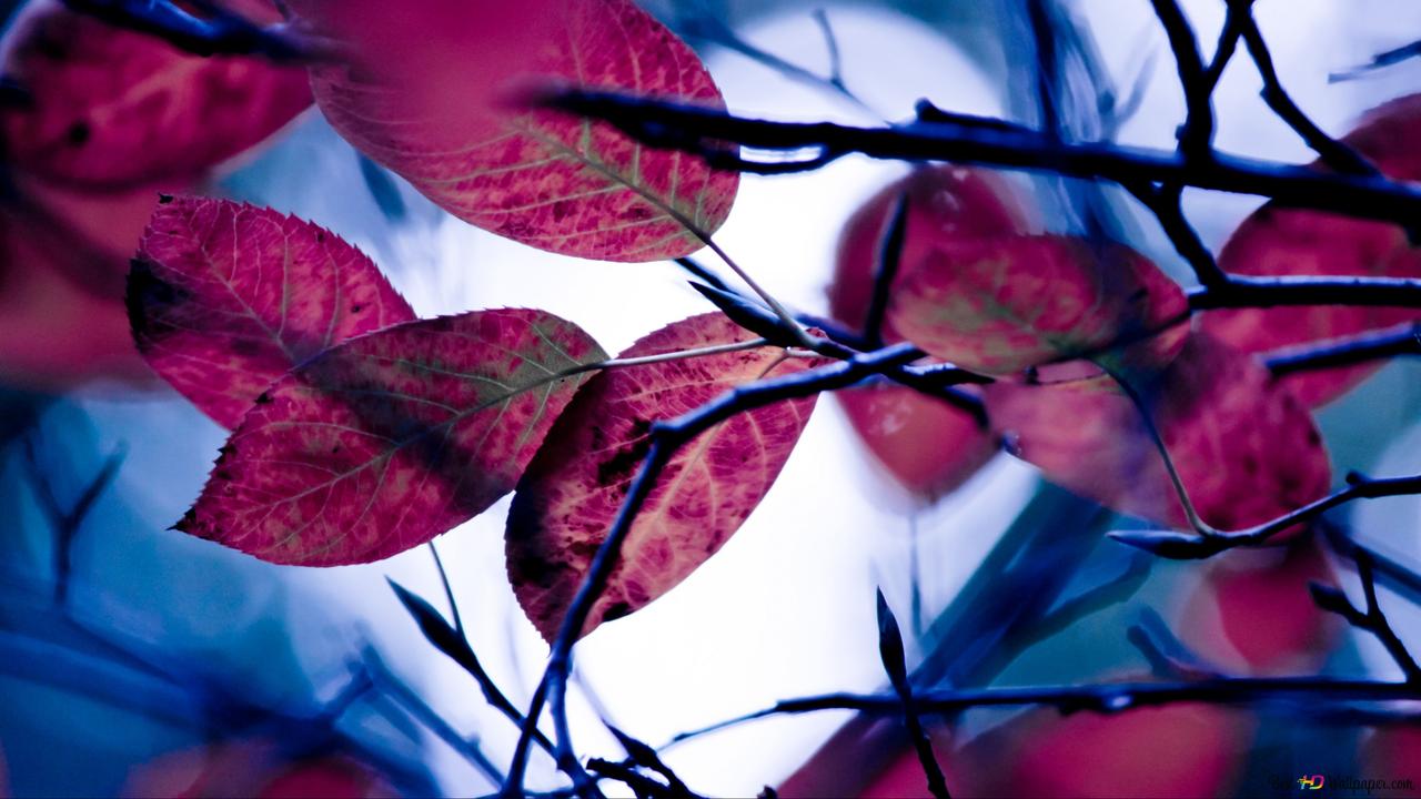 Mystical 3