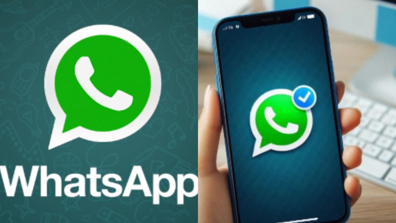 WhatsApp 3 WhatsApp 3