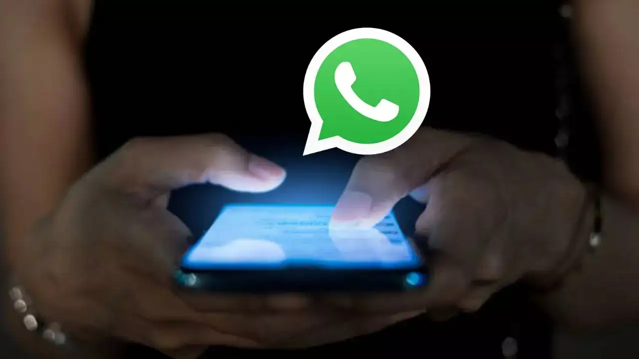 WhatsApp Backup