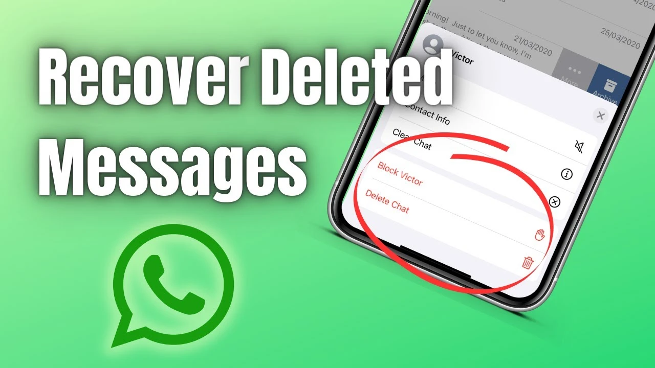 WhatsApp Backup