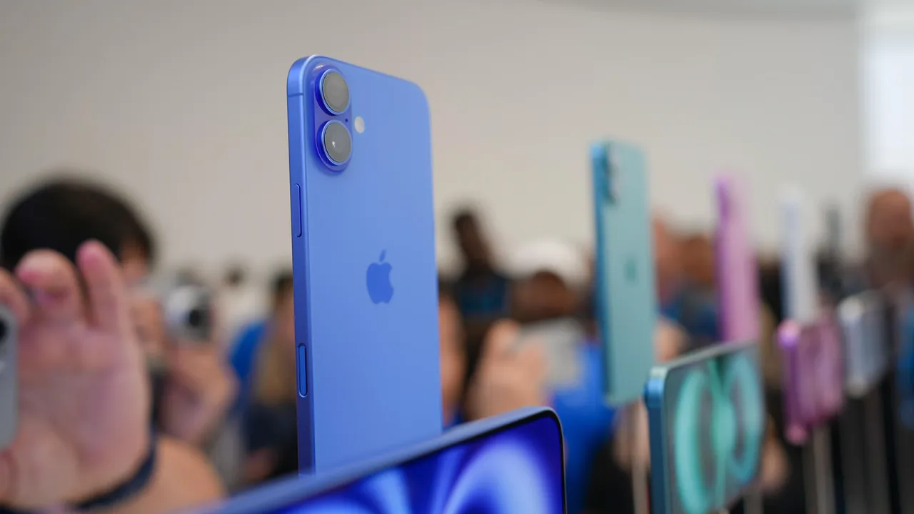 Apple Apple