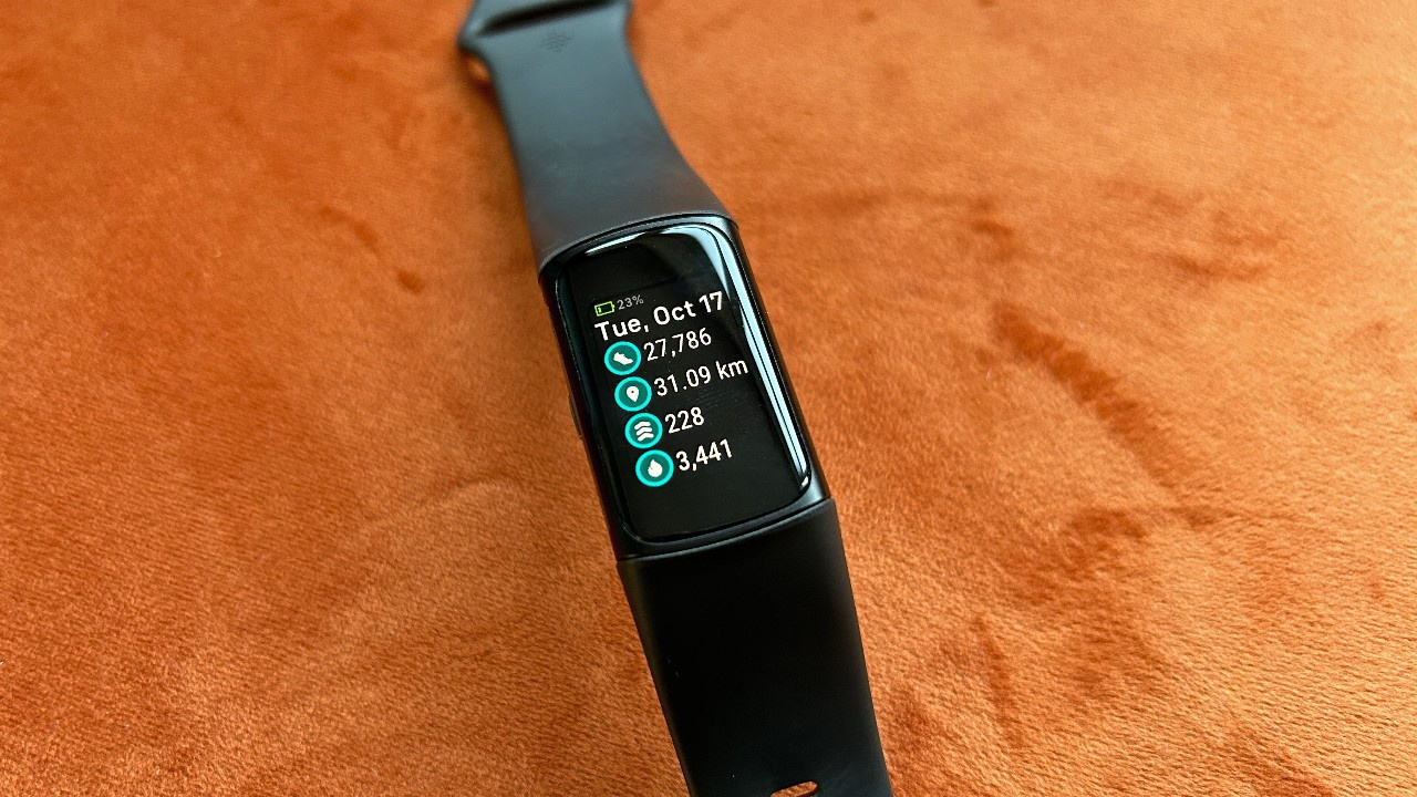 Google Fitbit New Google Fitbit New