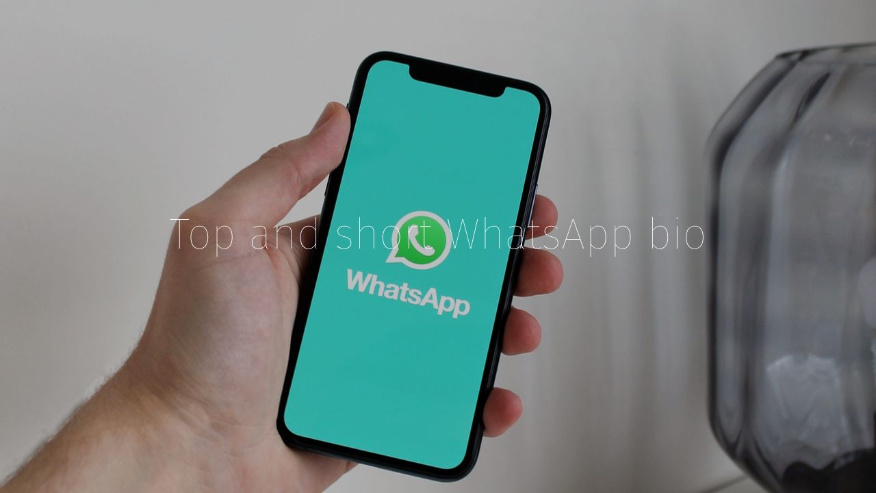 WhatsApp bio