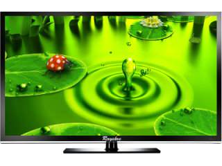 Rayshre REPL19LEDHDRM1 HD ready 19 Inch (48 cm) LED TV