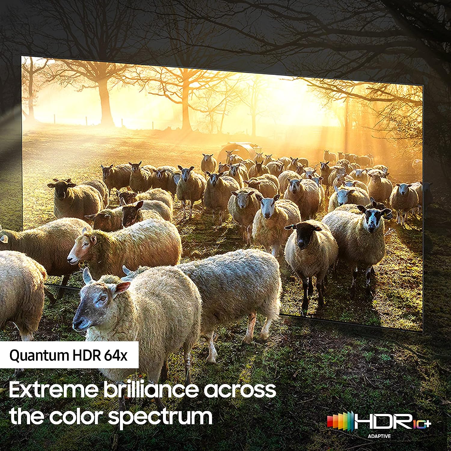 QA65QN85CAK 4K Neo QLED 65 Inch (165 cm) | Smart TV
