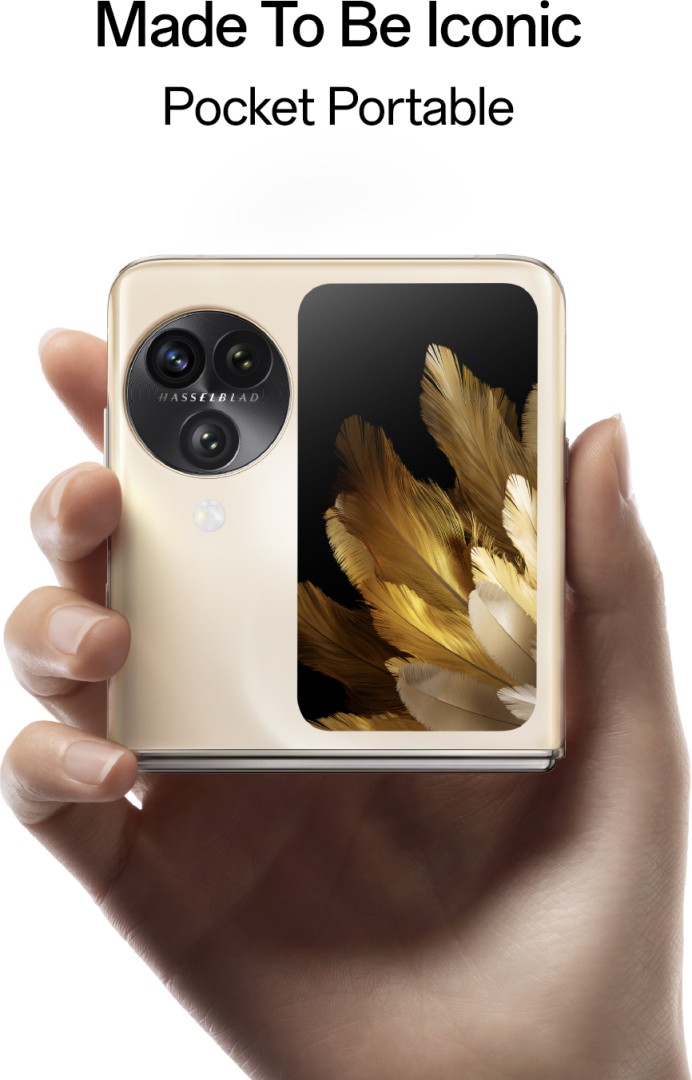 Find N3 Flip 12 GB RAM 256 GB Storage Gold
