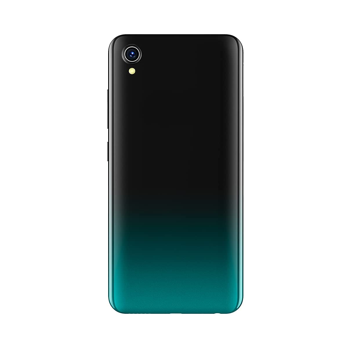 Y12s 2021
