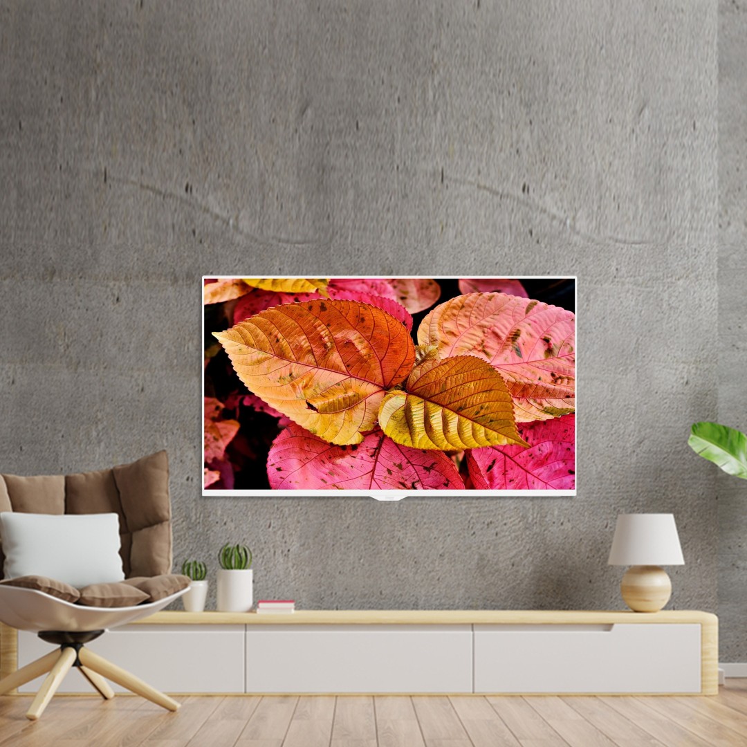 Elite 43SFL 43 inch (109 cm) LED Full HD TV