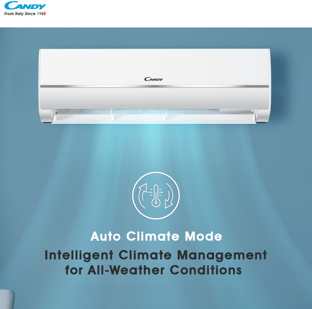 SAC 124C ITS 1 Ton 4 Star Inverter Split AC