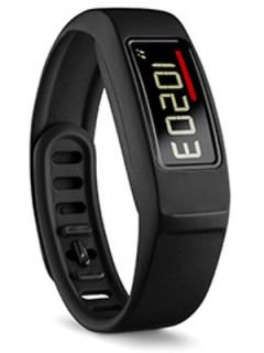 Garmin Vivofit 2