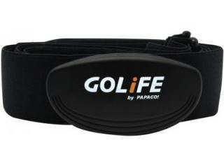 Papago GoHeart 100