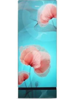 Haier HRD-2103POG-P 190 Ltr Single Door Refrigerator