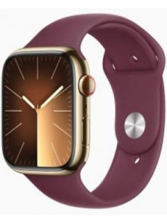 Apple Watch Series 9 Stainless Steel