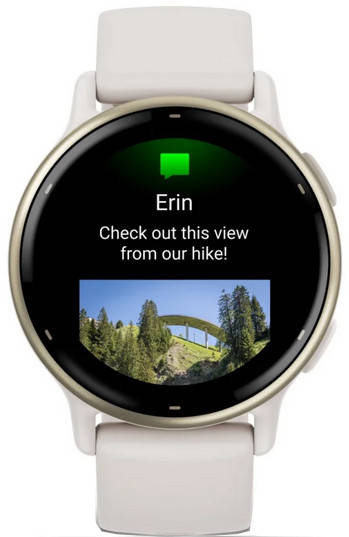 Garmin Vivoactive 5