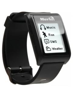 Merlin V2