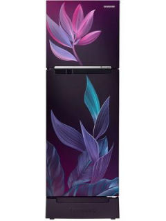 Samsung RT28C31429R 236 Ltr Double Door Refrigerator