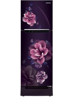 Samsung RT28C3122CR 236 Ltr Double Door Refrigerator
