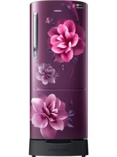 Samsung RR20D2825CR 183 Ltr Single Door Refrigerator
