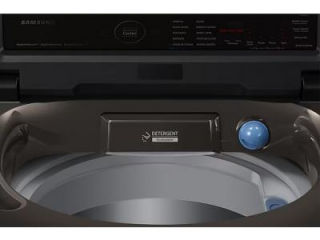 9.0 Kg Fully Automatic Top Load Washing Machine (Ecobubble WA90BG4686BR)