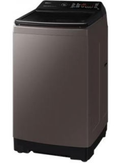 10.0 Kg Fully Automatic Top Load Washing Machine (Ecobubble WA10BG4686BR)