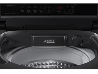 8.0 Kg Fully Automatic Top Load Washing Machine (Ecobubble WA80BG4441BD)