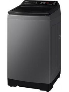 10 Kg Fully Automatic Top Load Washing Machine (Ecobubble WA10BG4546BD)