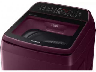 6.5 Kg Fully Automatic Top Load Washing Machine (WA65N4261FF)