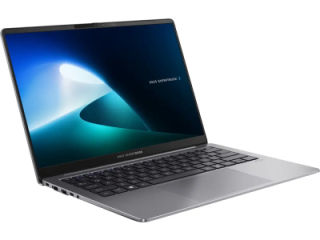 Expertbook P5405CSA-NZ0215WS Laptop