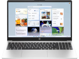 HP 255 G10 (B15HZPT) Laptop