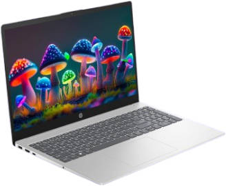 15-fd0061TU (A33FPPA) Laptop