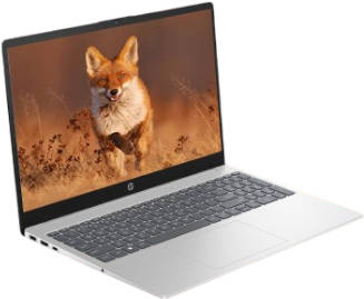 15-fd0111TU (A47CYPA) Laptop