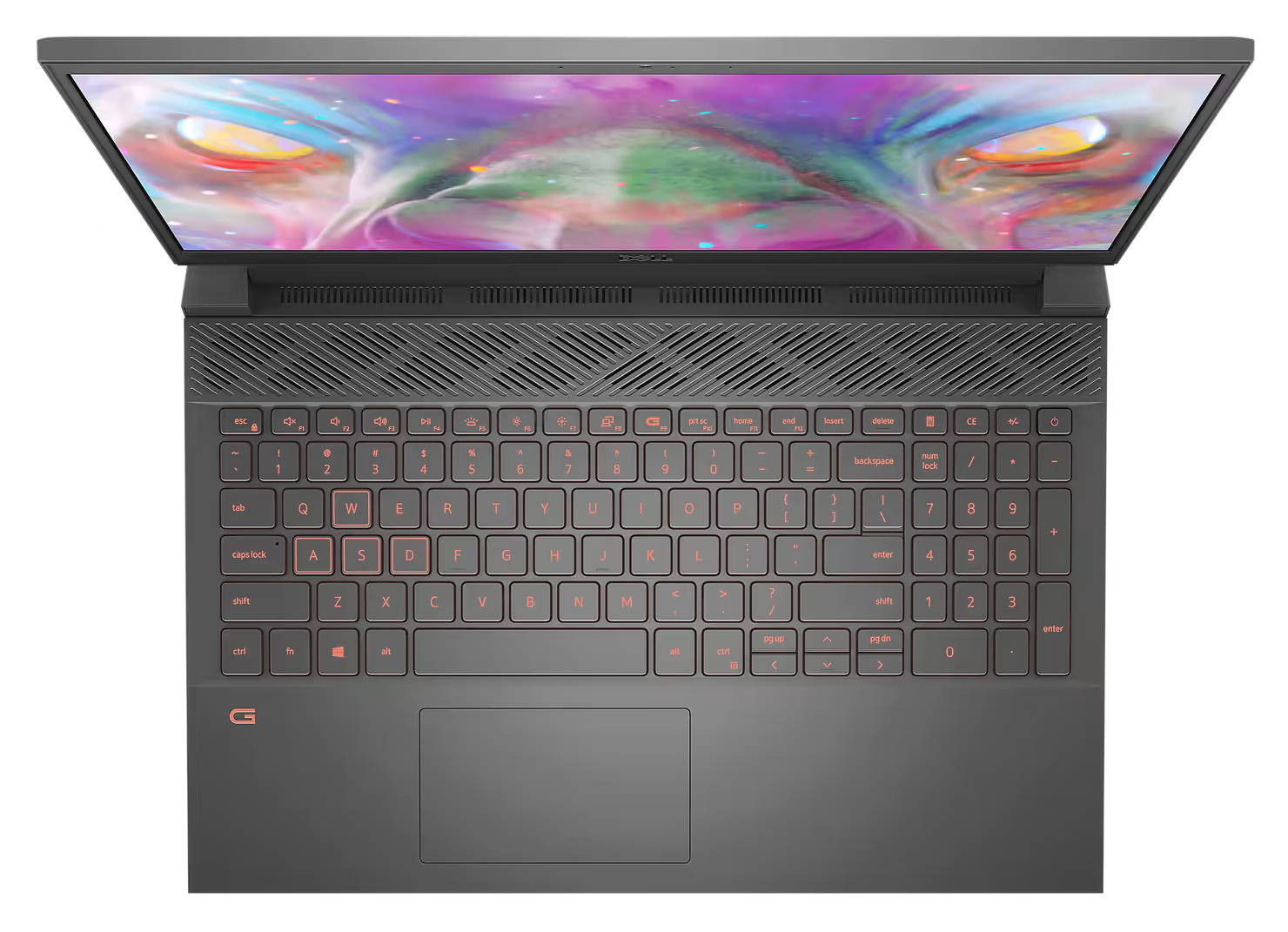 Inspiron 15 5510 (D560452WIN9A) Laptop