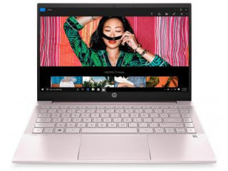 HP Pavilion 14-dv1002TU (50N48PA) Laptop