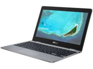 Chromebook C223NA-GJ0074 Laptop
