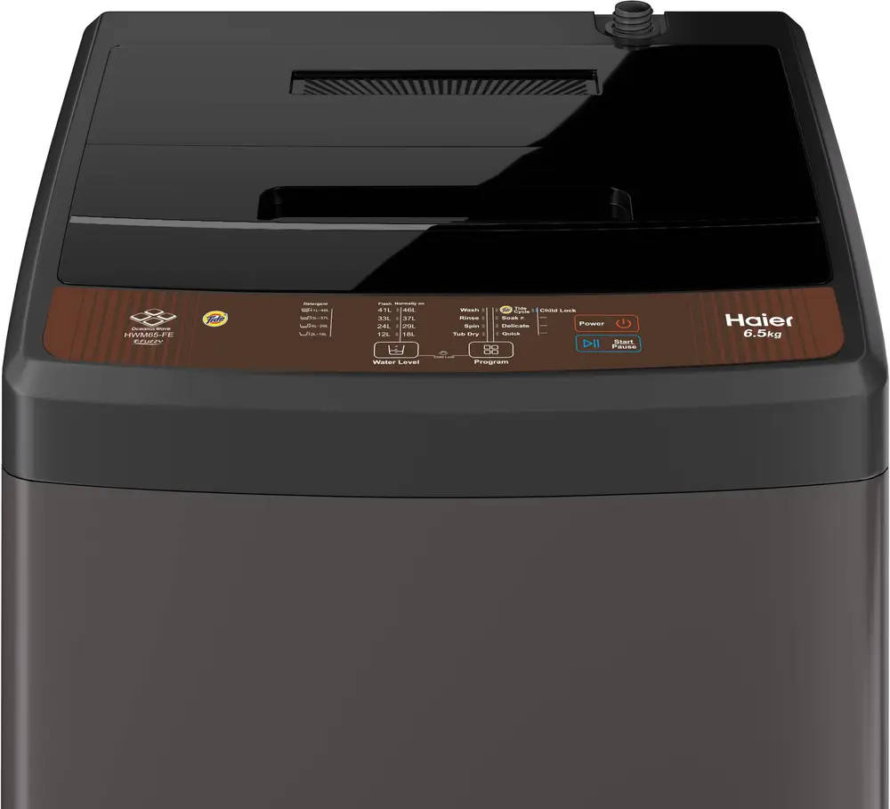 6.5 Kg Fully Automatic Top Load Washing Machine (HWM-65FES5)