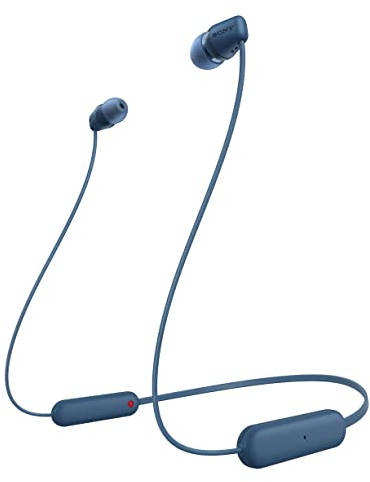 WI-C100