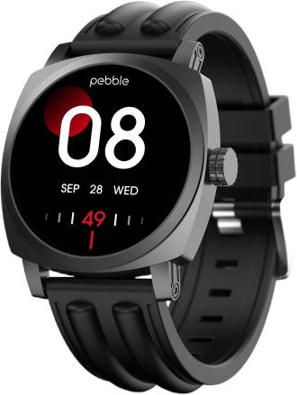 Pebble Endure 2