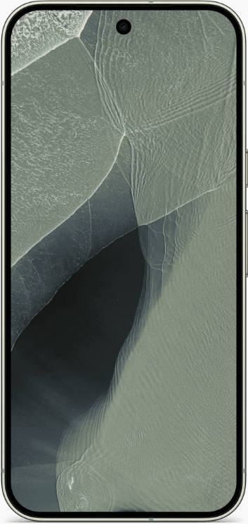 Pixel 11 Pro XL