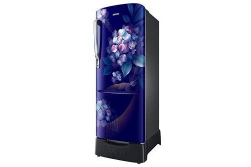 rr24h2823hs 223 Ltr Single Door Refrigerator