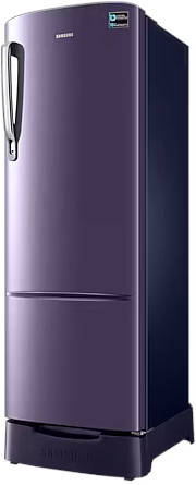 RR26C3893UT 246 L 3 Star Inverter Direct Cool Single Door Refrigerator