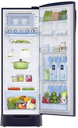 RR26C3893UT 246 L 3 Star Inverter Direct Cool Single Door Refrigerator