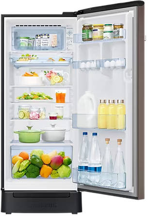 RR23B2H2XDX 225 L 4 Star Inverter Direct Cool Single Door Refrigerator