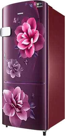 RR24C2Y23CR 223 L 3 Star Inverter Direct Cool Single Door Refrigerator