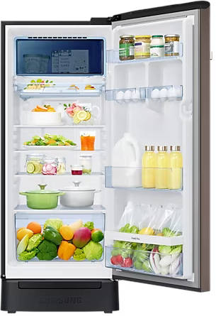 RR23C2F35DX 215 L 5 Star Inverter Direct Cool Single Door Refrigerator