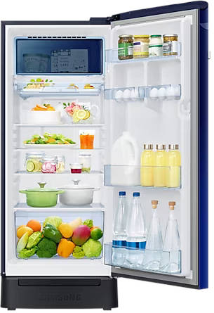 RR23C2F24NK 215 L 4 Star Inverter Direct Cool Single Door Refrigerator