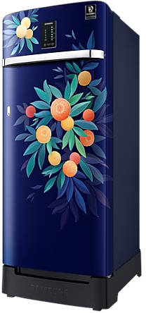 RR23C2F24NK 215 L 4 Star Inverter Direct Cool Single Door Refrigerator